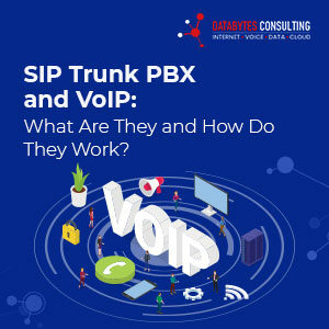 SIP Trunk PBX and VoIP: What Are They and How Do They Work?