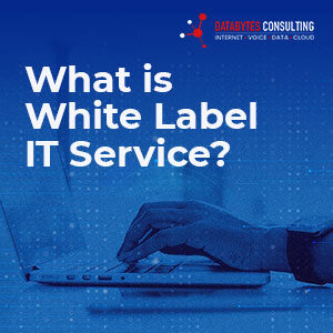 What is White Label IT Service?